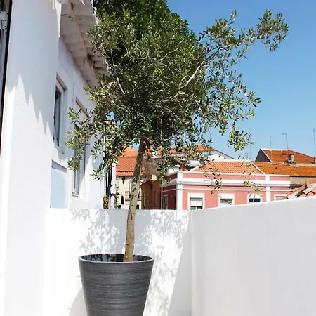 شقة Miradouro's Loft *